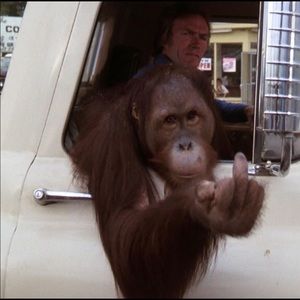 Meet your Posher, Paris